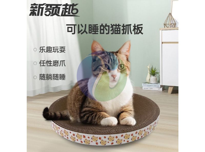 猫抓板